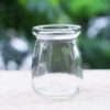 Chậu Thủy Tinh Sữa Chua dày đẹp